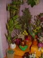 fleuriste